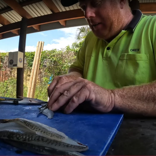 How to Catch & Clean Garfish