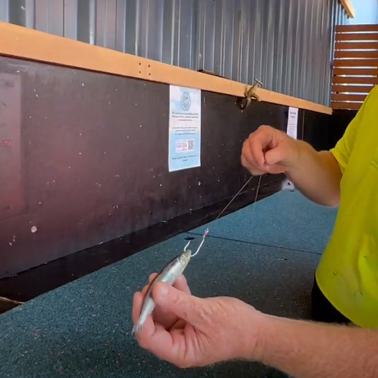 How to Bait a Flathead Rig