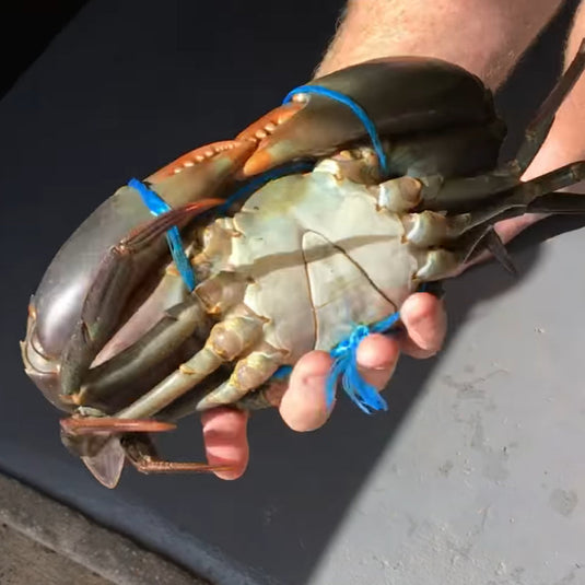 How to Tie a Crab