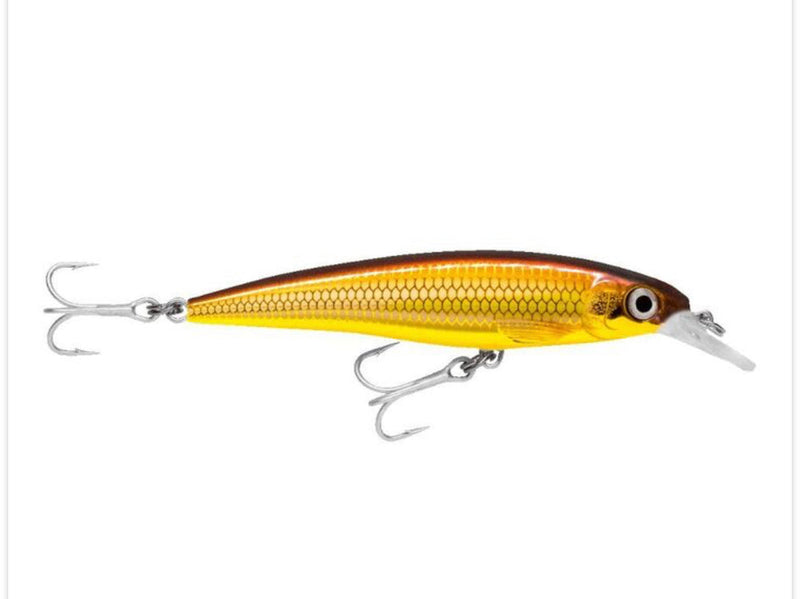 Load image into Gallery viewer, Rapala X-Rap Slash/B SXR10 [COL:Gold Chrome]
