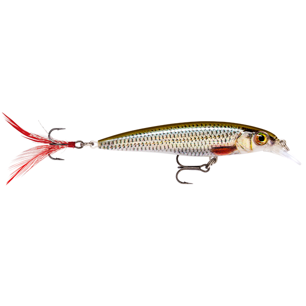 Load image into Gallery viewer, Rapala X Rap Slash/B XR6 [COL:Live Roach]
