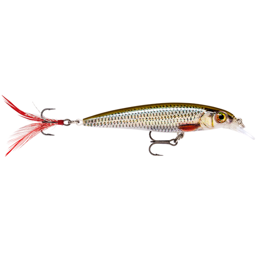 Rapala X Rap Slash/B XR6 [COL:Live Roach]