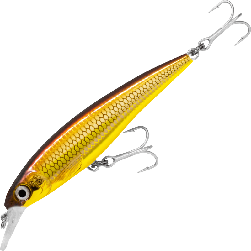 Load image into Gallery viewer, Rapala X-Rap Slash/B SXR10 [COL:Golden Alburnus]
