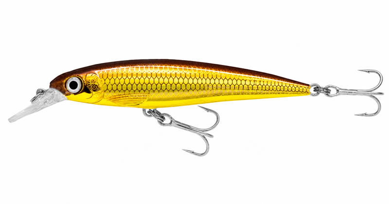 Load image into Gallery viewer, Rapala X-Rap Slash/B SXR10 [COL:Golden Alburnus]
