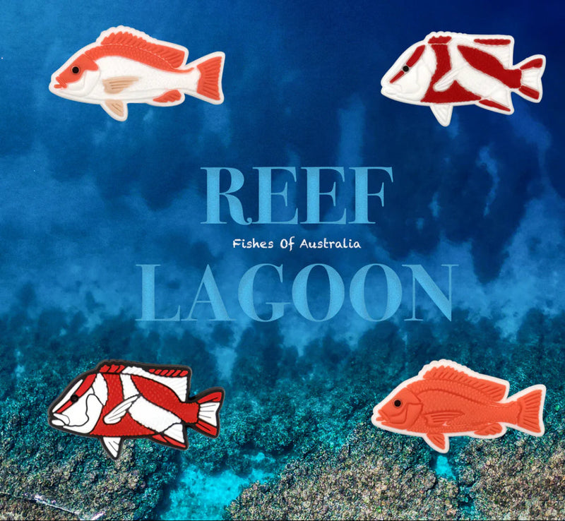 Load image into Gallery viewer, Reef Lagoon Shoe Charm Pack [STY:Tropical Deep Reds]
