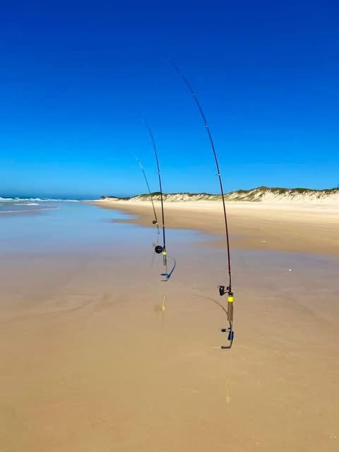 Load image into Gallery viewer, 316 Stainless Aussie Norm's Surf Rod Holders 
