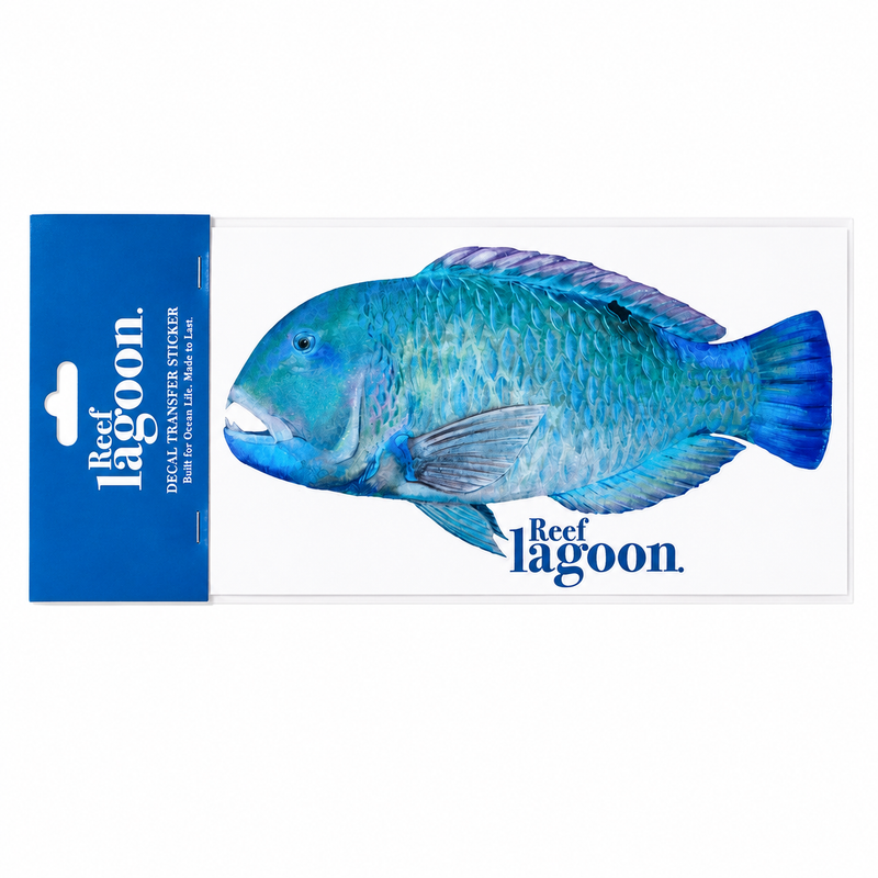 Load image into Gallery viewer, Reef Lagoon Decal Transfer Stickers A5 [STY:Blackspot Tuskfish]
