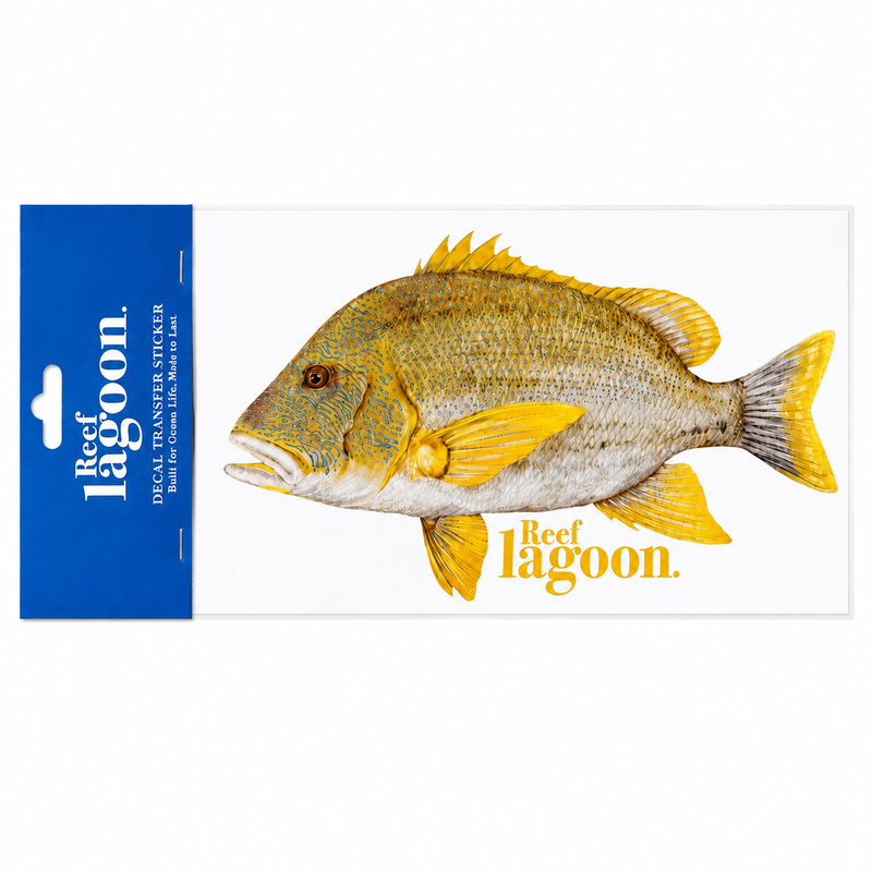 Load image into Gallery viewer, Reef Lagoon Decal Transfer Stickers A5 [STY:Maori Sea Perch]
