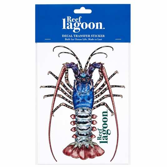 Reef Lagoon Decal Transfer Stickers A5 [STY:Ornate Rock Lobster]