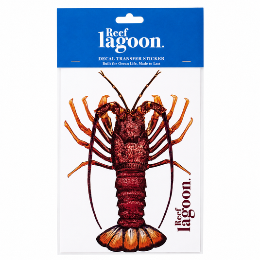 Reef Lagoon Decal Transfer Stickers A5 [STY:Southern Rock Lobster]