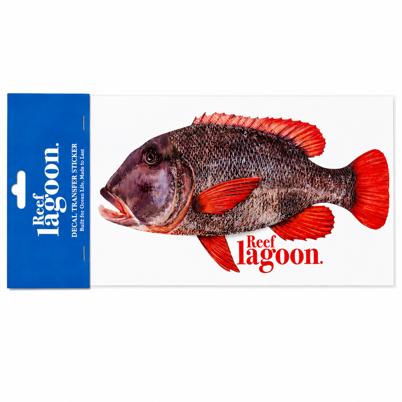 Load image into Gallery viewer, Reef Lagoon Decal Transfer Stickers A4 [STY:Buffalo Emperor]
