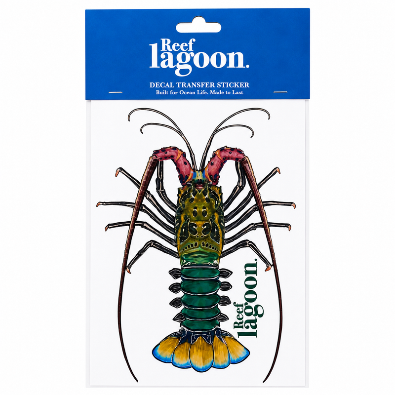 Load image into Gallery viewer, Reef Lagoon Decal Transfer Stickers A4 [STY:Painted Rock Lobster]
