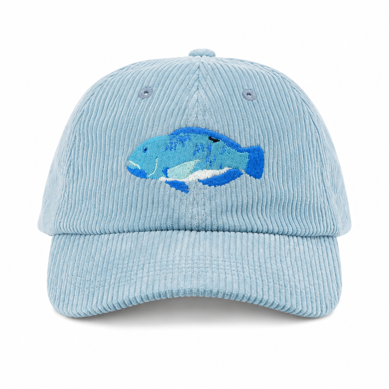 Load image into Gallery viewer, Reef Lagoon Corduroy Curved Brim Hat [COL:Lagoon Blue STY:Blackspot Tuskfish]
