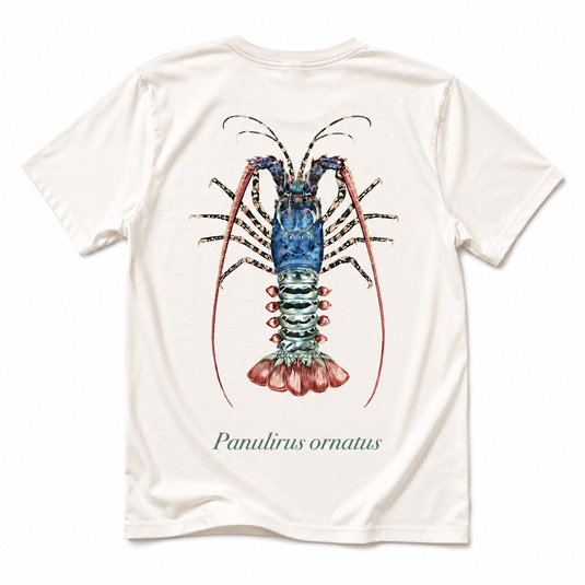 Reef Lagoon Cotton Tee - Ornate Crayfish - Beige [SIZ:Sml]