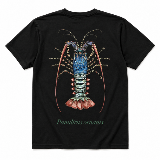 Reef Lagoon Cotton Tee - Ornate Crayfish - Black [SIZ:Sml]