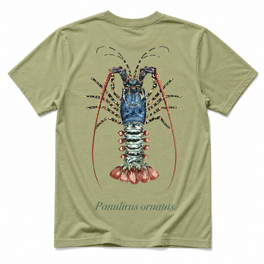 Reef Lagoon Cotton Tee - Ornate Crayfish - Eucalyptus [SIZ:Sml]