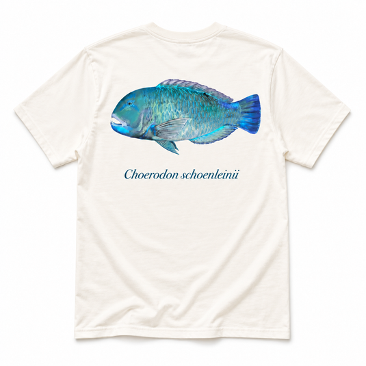 Reef Lagoon Cotton Tee - Tuskfish - Beige [SIZ:Sml]