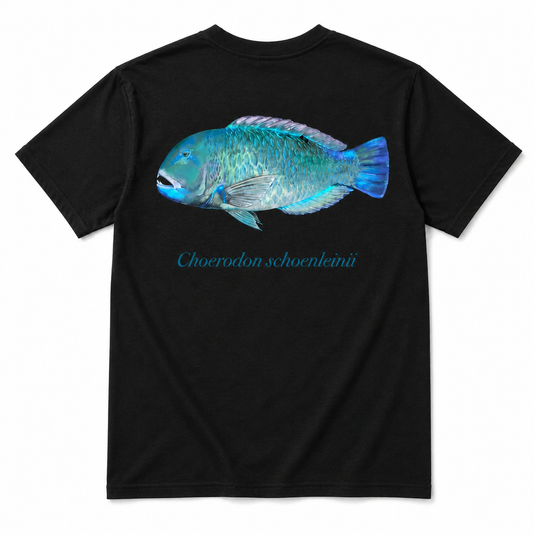 Reef Lagoon Cotton Tee - Tuskfish - Black [SIZ:Sml]