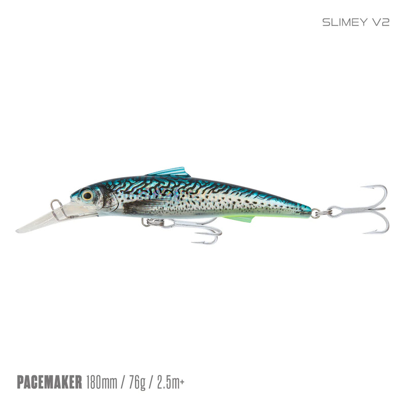 Load image into Gallery viewer, Samaki Pacemaker Minnow 180 D
