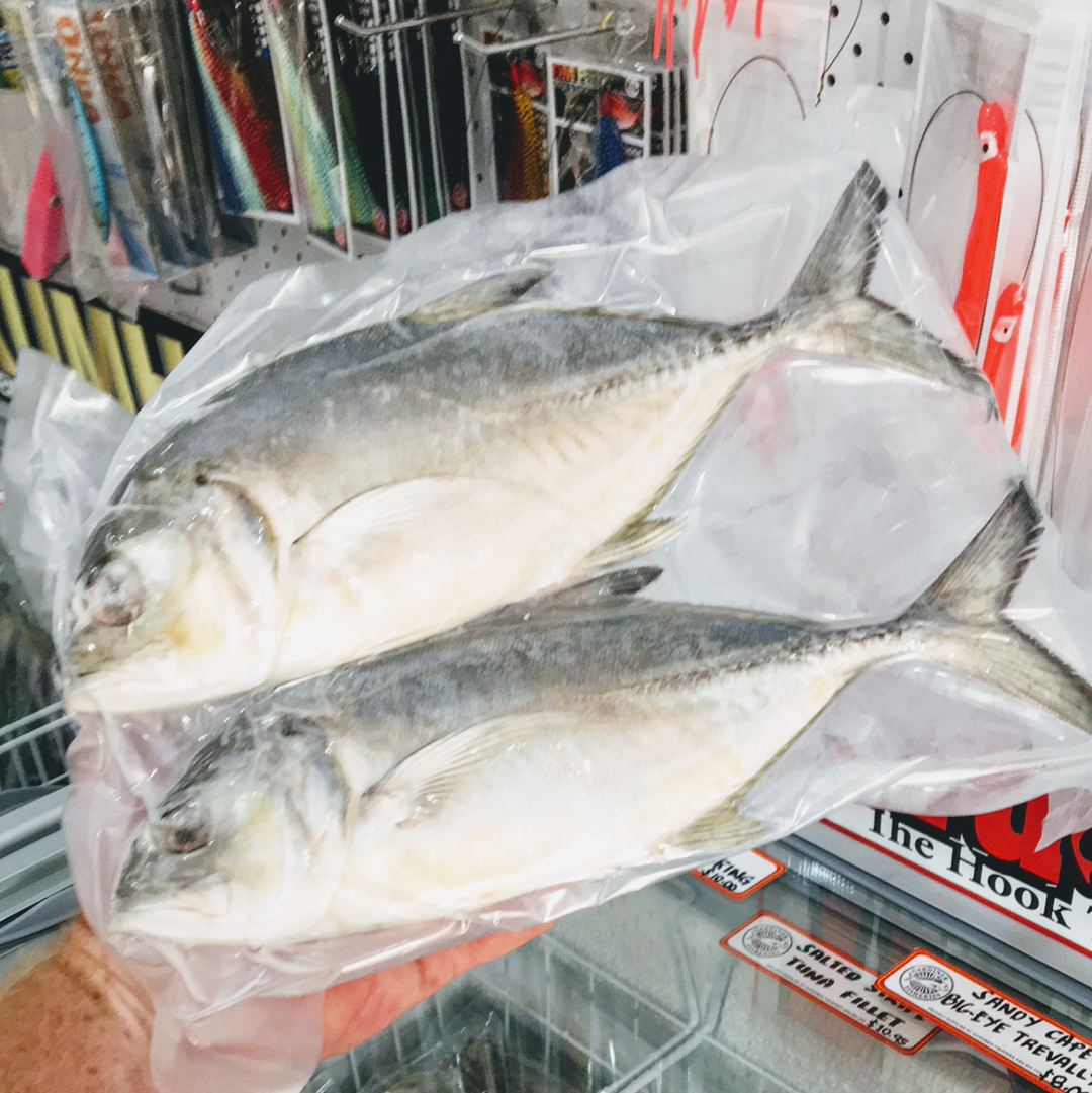 Whole small Trevally bait frozen cryovaced for trolling
