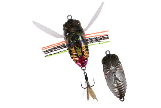 Duo Realis Koshinmushi (Cicada)