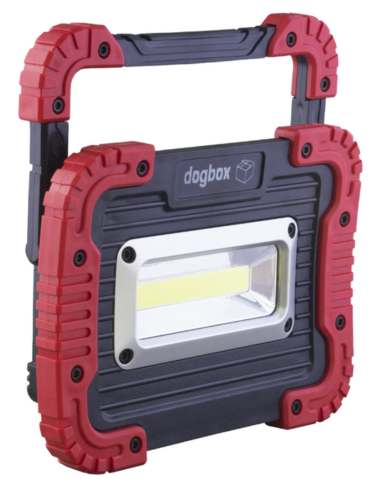 Dog Box Floodlight