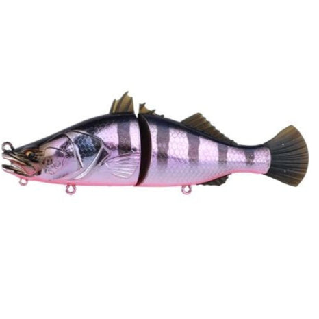 Bone Eyspybarra 176F Swimbait [COL:Royal Stripes]