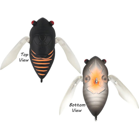 Atomic Hardz Cicada 35 [COL:Christmas Beetle]