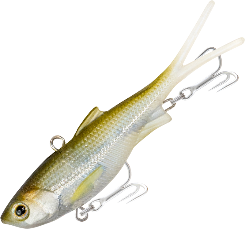 Load image into Gallery viewer, Samaki Vibelicious 100mm [COL:Ghost Shad]
