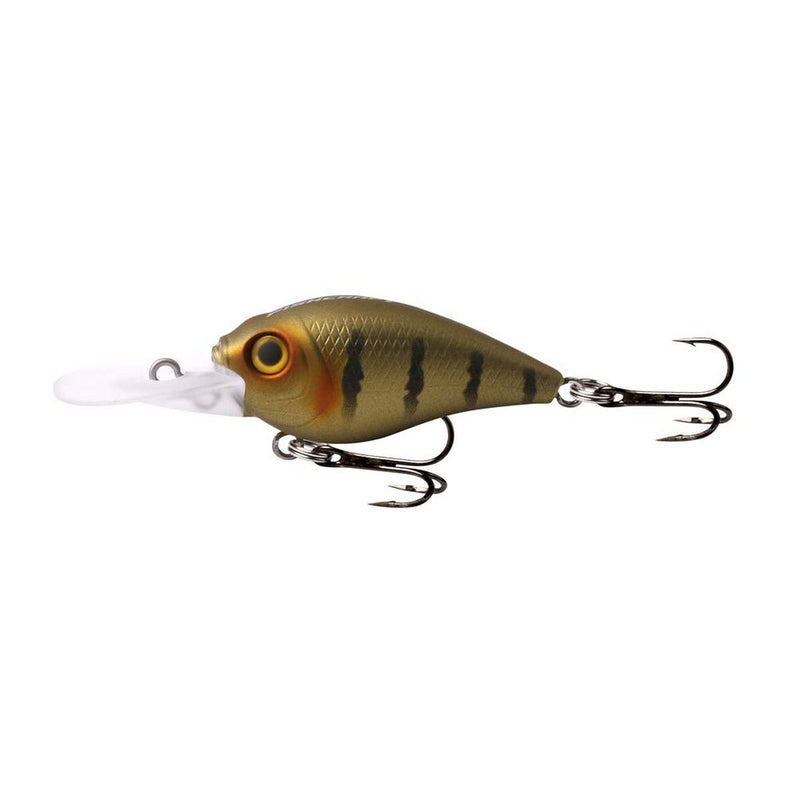 Load image into Gallery viewer, Fishcraft B-Cranky 46mm - Mid Diver [COL:Golden Gudgeon]
