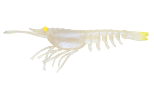 Nomad Live Ops Switcher Shrimp 5" (3 Pack) [COL:Pearl White UV - PRLWUV]