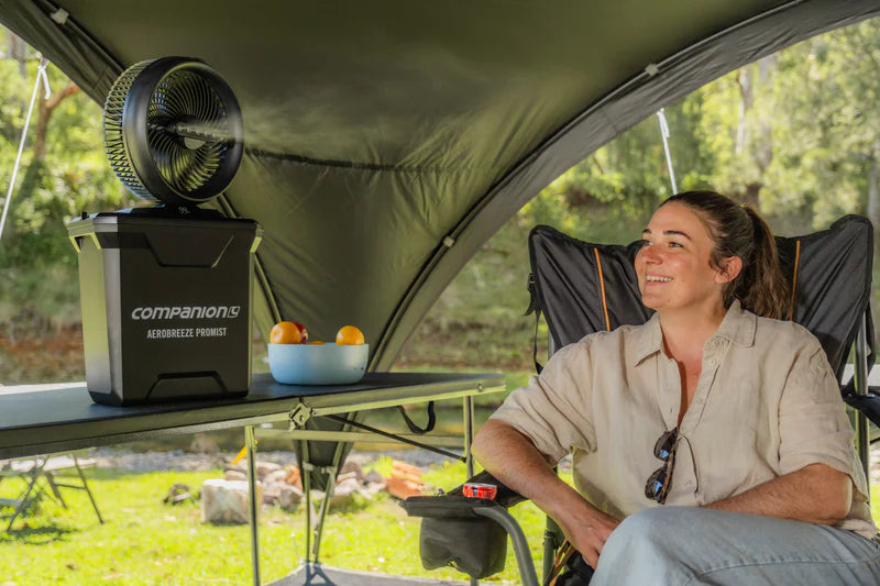 Load image into Gallery viewer, Companion Aerobreeze Pro Mist 25cm Oscillating Misting Fan
