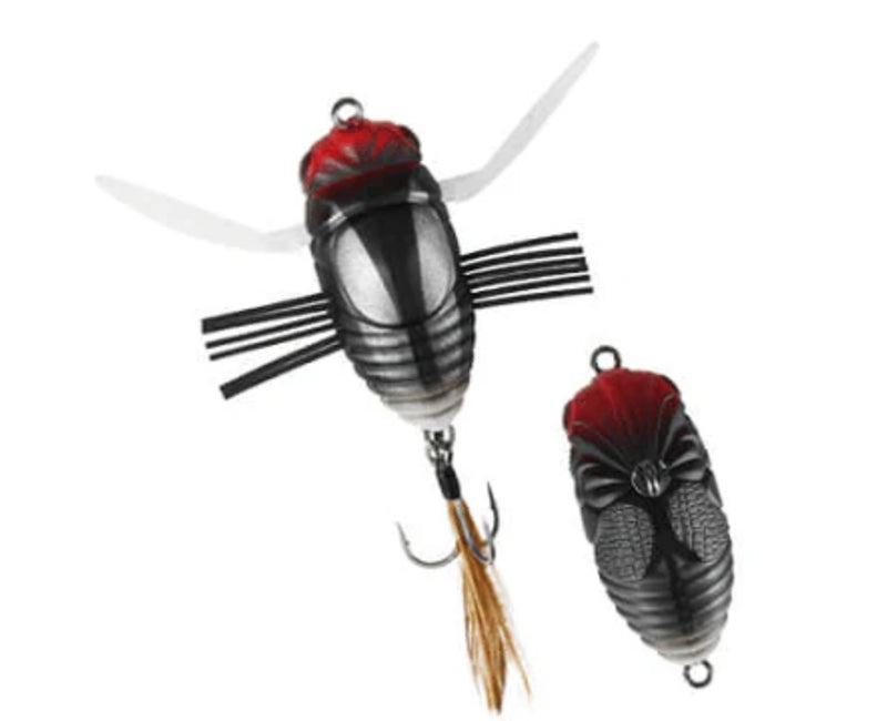 Load image into Gallery viewer, Duo Realis Koshinmushi (Cicada)
