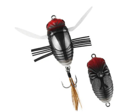 Duo Realis Koshinmushi (Cicada)