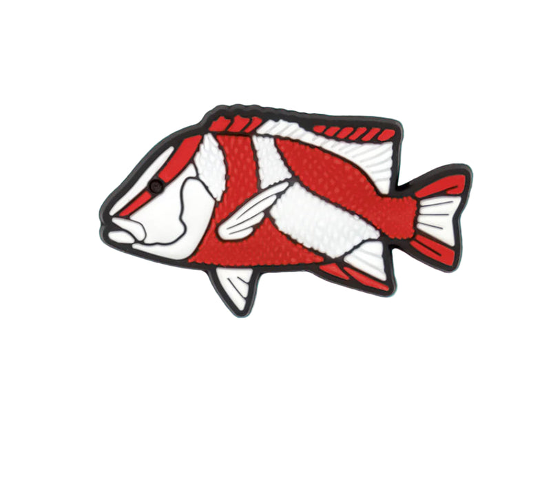 Load image into Gallery viewer, Reef Lagoon Individual Shoe Charms
