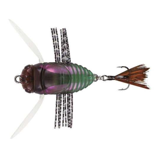 Duo Realis Koshinmushi (Cicada)