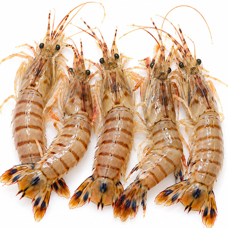 Closeup of 5 banana prawns