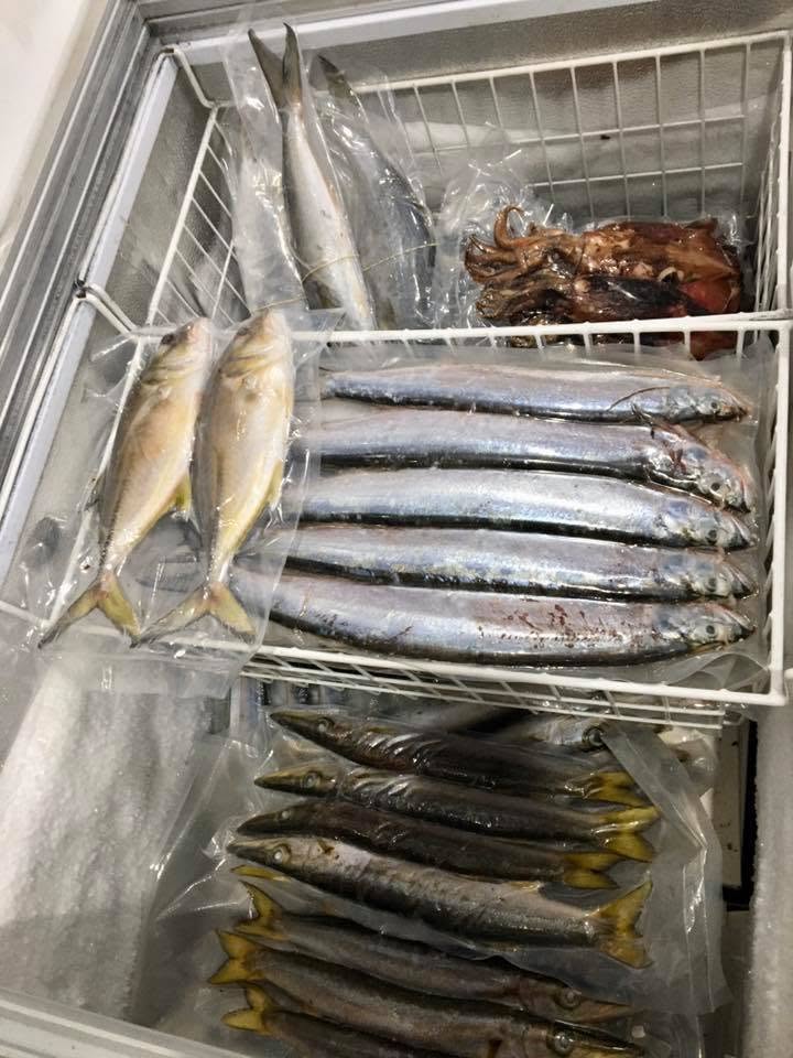 Yakkas, pike, wolf herring, mullet and quid in our bait freezer all cryovaced