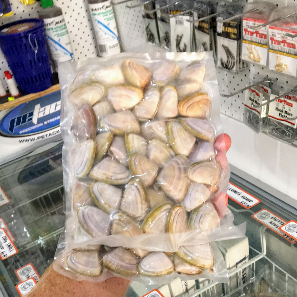 Drew holding frozen pipis bait from Rainbow beach