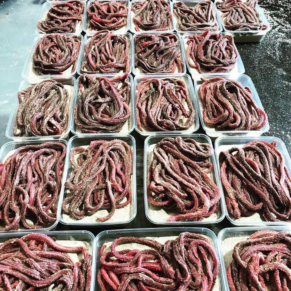 Lots of small containers of fresh worms with a little sand ready for freezing