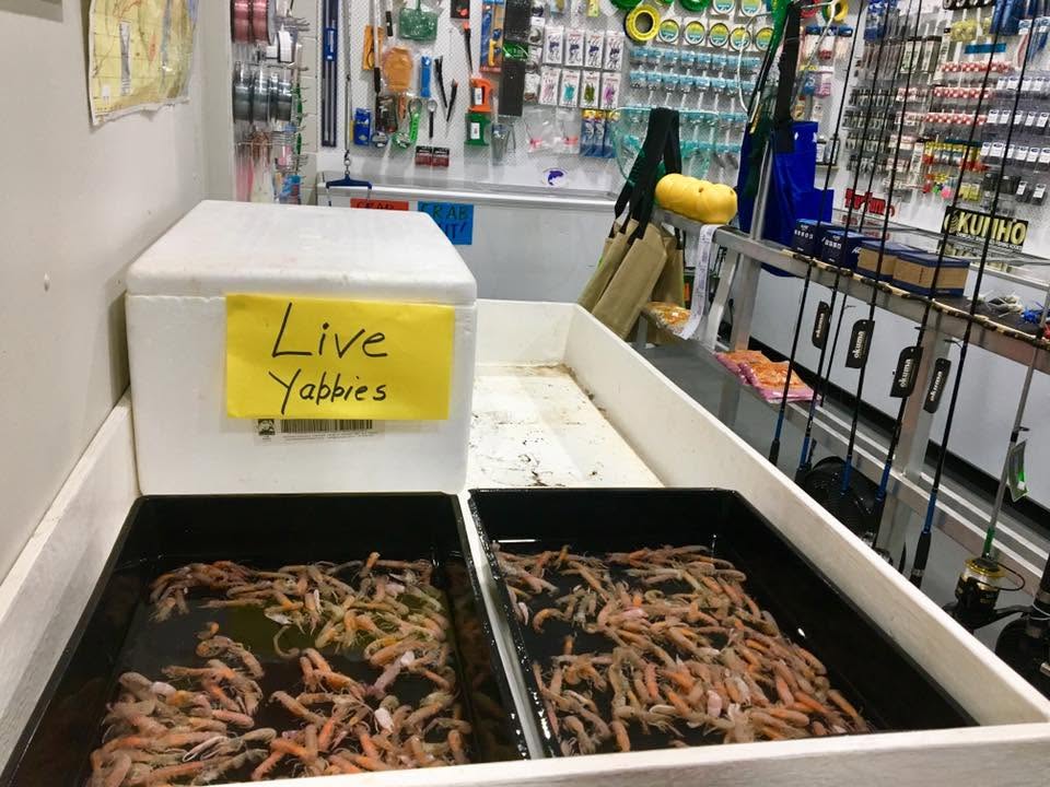 Live yabbies in large containers ready for sale
